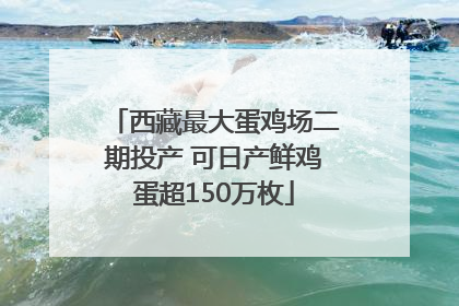 西藏最大蛋鸡场二期投产 可日产鲜鸡蛋超150万枚